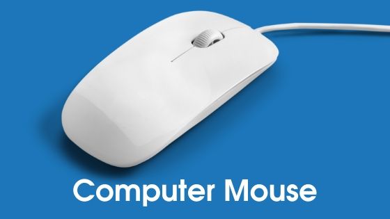 Computer Mouse - parts of computer in hindi
