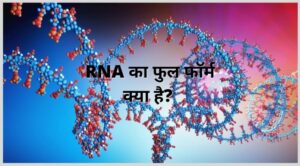 RNA Full Form - RNA का पूरा नाम क्या है? 1